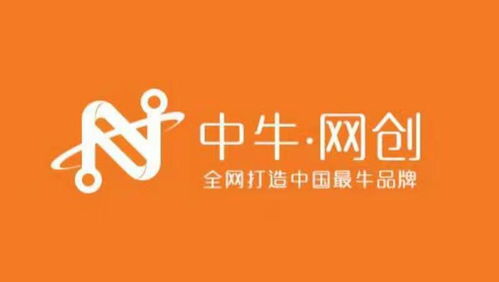 盛圣网络，数字时代下的创新力量与品牌塑造