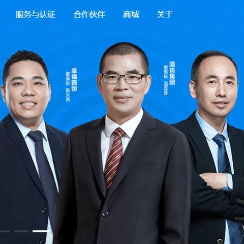 域名过户费用详解，从基础到高级的全面指南