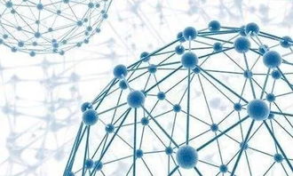易网互联，构建数字时代的安全高效网络桥梁