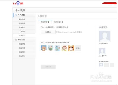 如何设置自动跳转的域名，从注册到配置的全流程指南