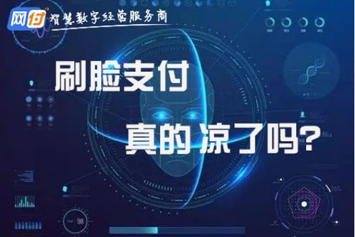 域名级竞争对手，互联网战场的新维度