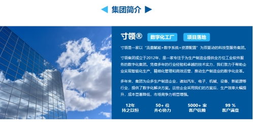 枫叶网络，沈阳专业网络服务引领创新变革