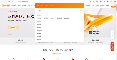 IP地址与域名注册，如何正确填写IP信息