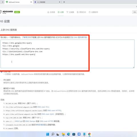 本地连接属性里的DNS服务器地址，解析与功能详解