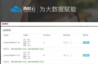 探寻经济实惠的VPS服务，便宜VPS官网大揭秘