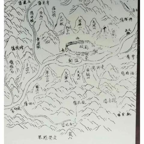 域名解析与IP地域转换，揭秘专用服务器的角色