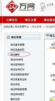 在万网注册了域名后怎么使用