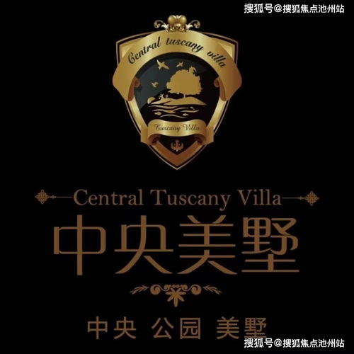 网址域名由什么组成，深入解析互联网地址的奥秘
