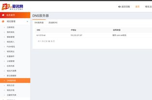 如何在新网设置域名DNS地址
