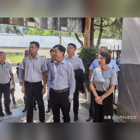 创新引领，商务新干线官网重塑企业未来