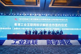 申科互联官网，科技与信息桥梁，助力企业数字化创新与发展