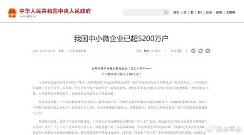 计算机LP域名GOV，探索数字时代的政府服务新生态