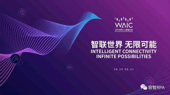 世通网络科技，引领未来数字化时代的创新实践者