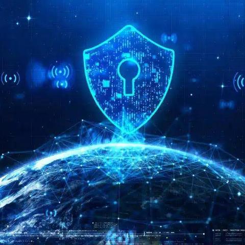 域名官方认证，保障网络安全的基石