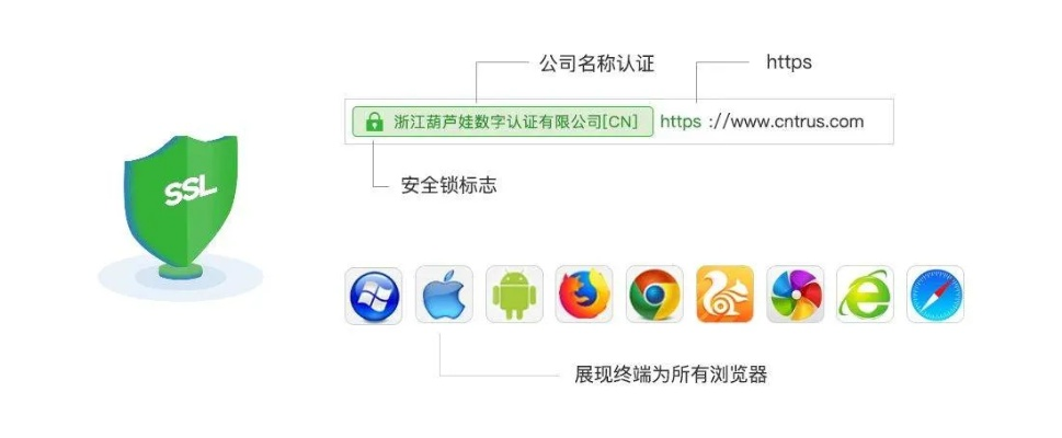 天威诚信SSL证书，多域名支持，为您的网络安全护航