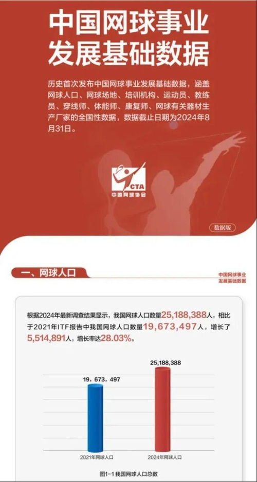 中国网球协会官网现状及未来发展