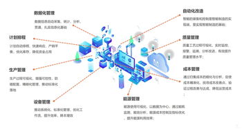 金点网络官网，助力企业数字化转型的领航者