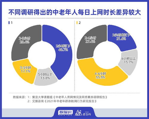 跨越数字鸿沟，好好网络官网建设与社会融合