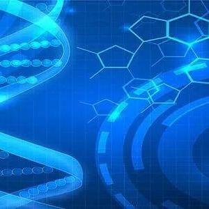 域名变更后主页依旧，木马病毒检测无果的困惑与解决之道