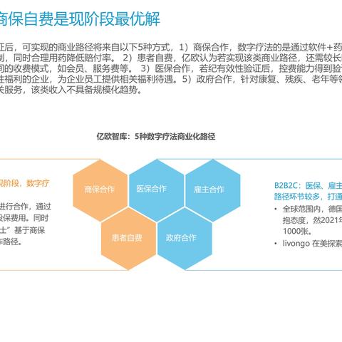 中国频道官网，洞察数字时代的文化趋势与策略转型