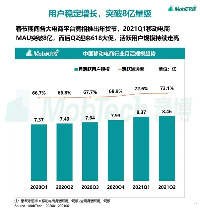 大数据时代的揭秘者—雪狼数据官网，精准洞察市场，赋能企业决策