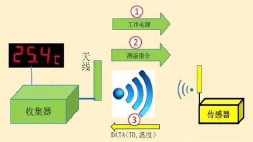 中频技术在官网建设中的创新应用与实战优化