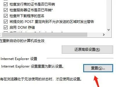 打开IE时首页总是说域名有误，原因分析与解决指南