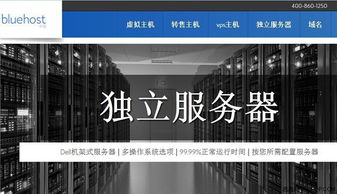 国内受欢迎的虚拟主机服务商解析，为何选择某家服务商成为行业首选