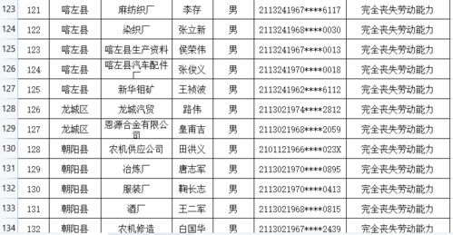 上海豪网官网，探索城市之巅的互联网力量
