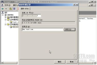 客户机指向服务器的DNS解析域名但无法解析的排错指南