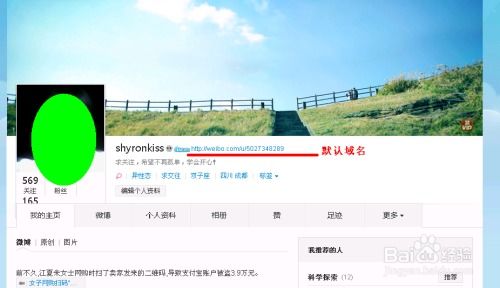 新浪博客，如何将地址更改为个性域名