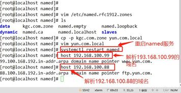 新网域名迁移至西部数码DNS，实践指南与注意事项