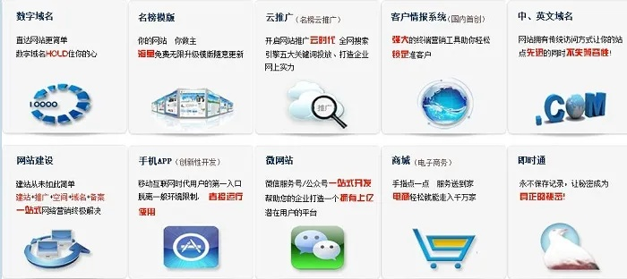 想做一个域名代理的网站需要哪些东西