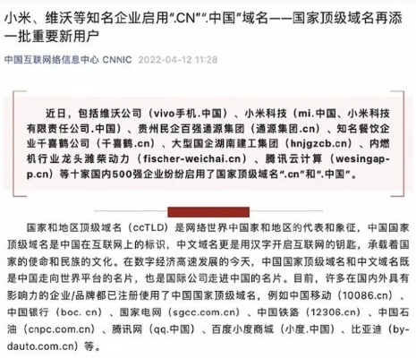 关于中文域名问题的探讨