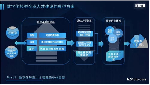 AncerIDC官网，企业级IDC解决方案的优选平台，助力数字化转型的新引擎