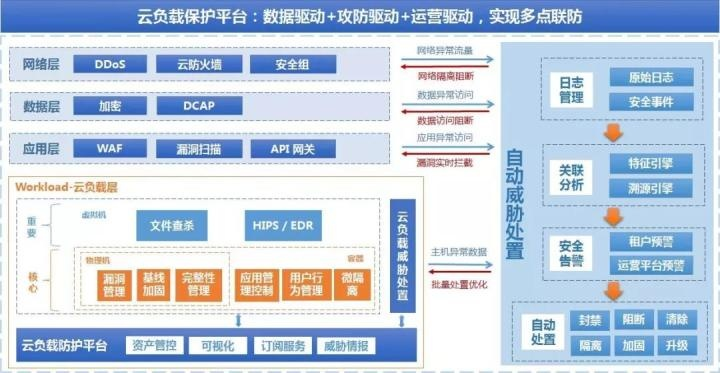 蒙鸟云高防主机，筑牢网络安全防线，守护您的数字疆域
