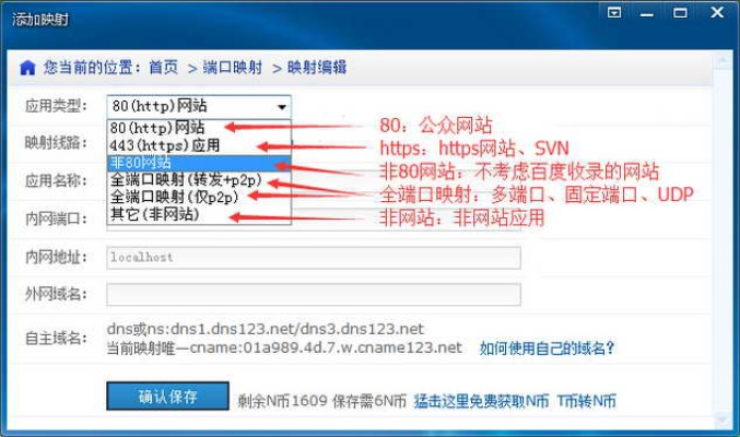 域名要通过端口访问，详细操作指南