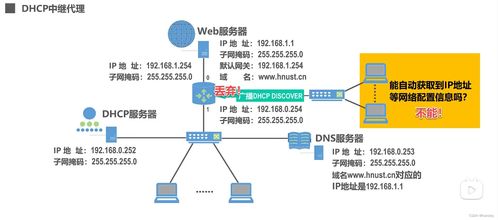 从虚拟主机到自主脱管服务器的迁移，全面指南与优势分析