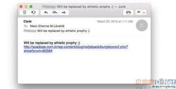 网络公司买产品送域名，真相揭秘与深度分析