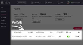 花生壳动态域名解析软件，打造高效网络访问的利器