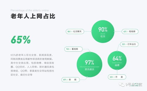美苹互联官网，跨越数字鸿沟，塑造未来互联生态