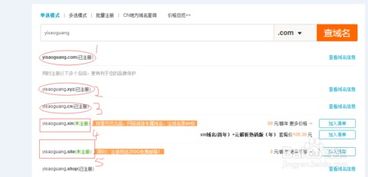 英文域名与拼音域名，哪个更好些？