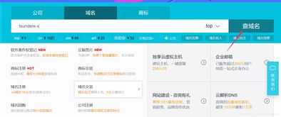 如何免费获取二级域名并添加特定后缀XXX