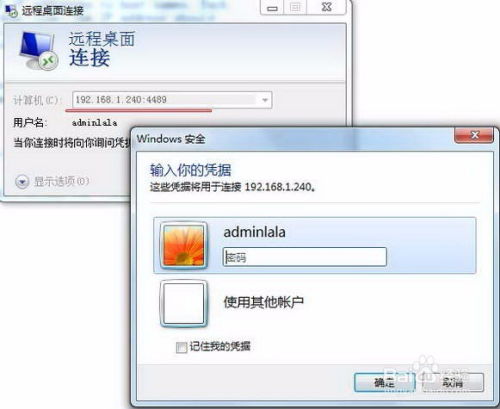 动态域名解析软件，免费的选择与解析