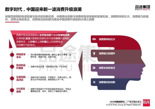 龙途数据，大数据时代的创新者，引领商业智能新风向