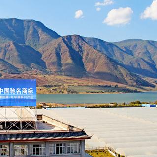 我想拥有一个免费域名，探索互联网身份的自由之旅