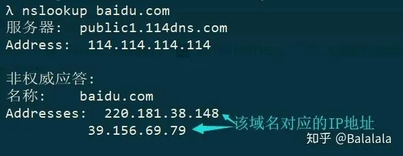 解析域名为IP，深入理解URL到信息服务的关键步骤