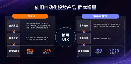 博锐数据官网，解锁未来数字时代的密钥