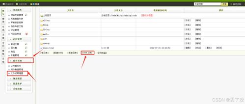 DEDECMS织梦淘宝客安装失败，域名指向错误解析与解决