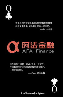 鈕琪数据官网，解锁数据时代的密钥，洞见未来的力量